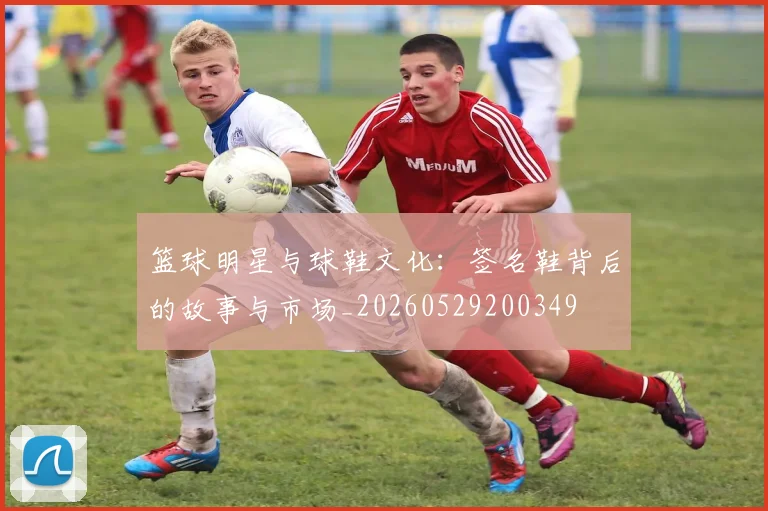 篮球明星与球鞋文化：签名鞋背后的故事与市场_20260529200349