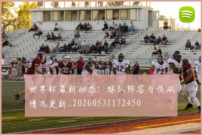 世界杯最新动态：球队阵容与伤病情况更新_20260531172450